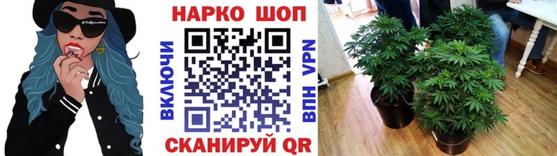 Где купить наркотики Кирсанов Канабис Меф Alpha-PVP ГАШ