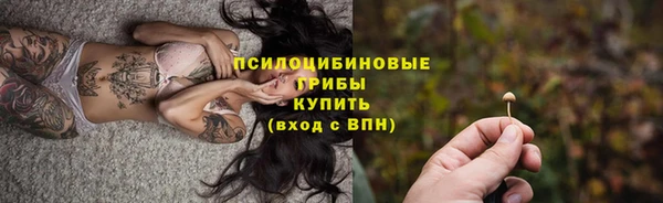 спайс Кулебаки