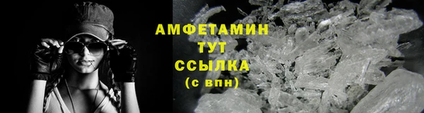 прущие грибы Ладушкин