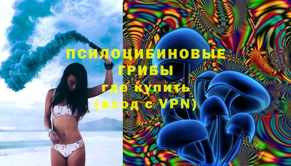 спайс Кулебаки