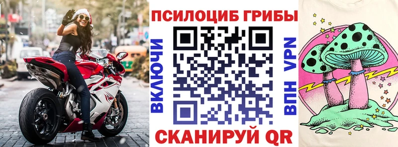 Галлюциногенные грибы прущие грибы  Кирсанов 